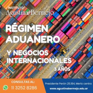 Aduana y Negocios inmobiliarios